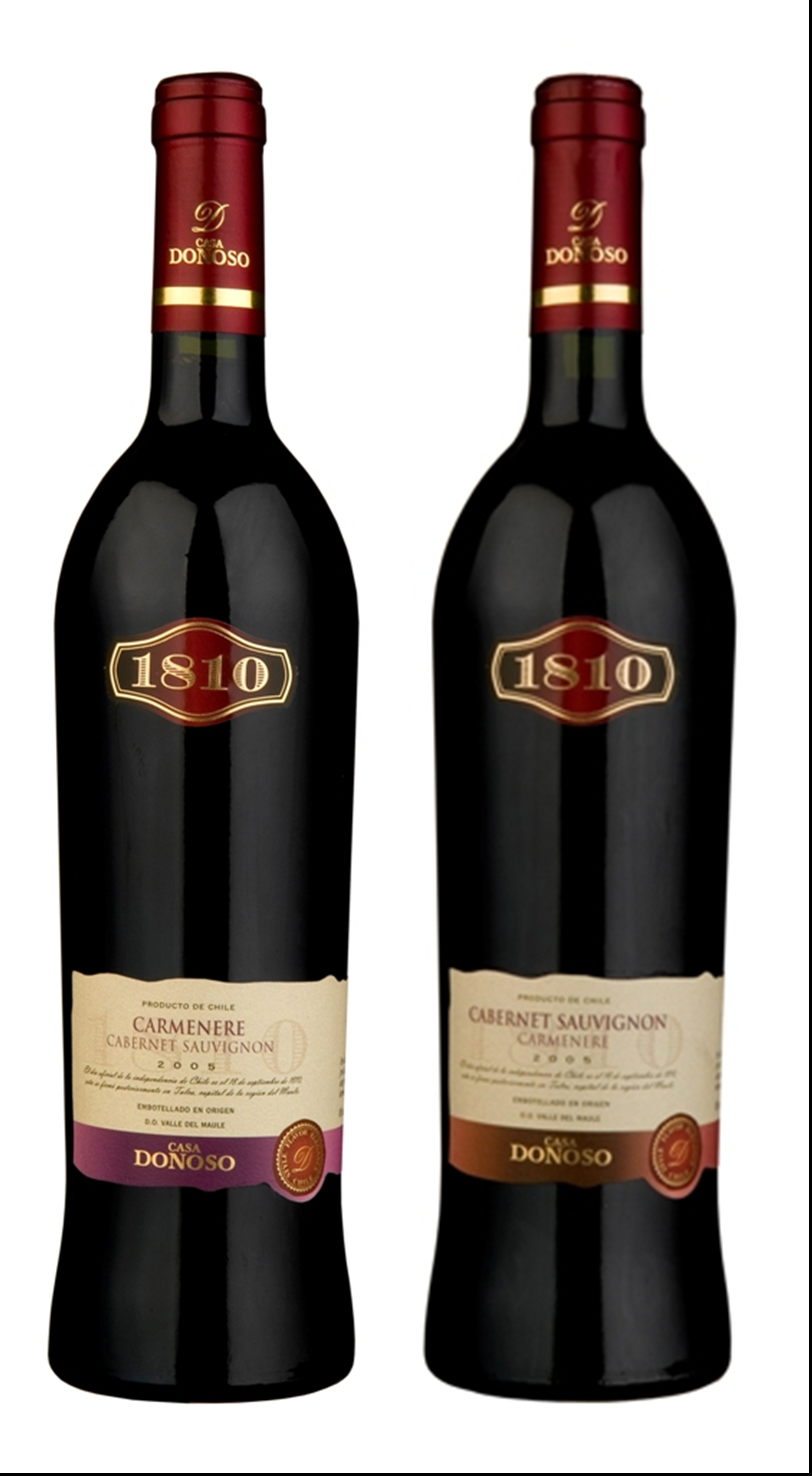nuevo1810.2009.jpg
